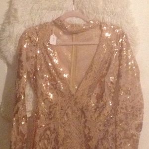 Flirty Sheer RoseGold Dress